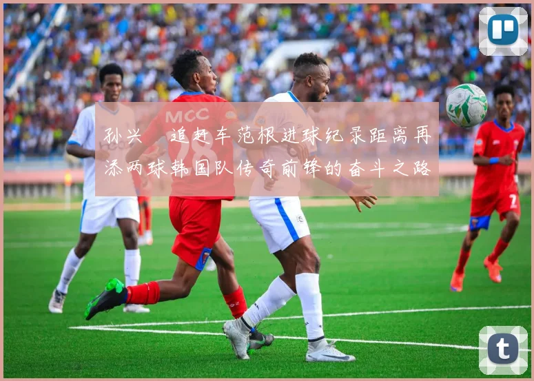 孙兴慜追赶车范根进球纪录距离再添两球韩国队传奇前锋的奋斗之路