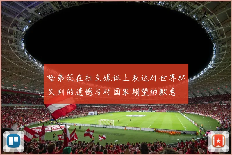 哈弗茨在社交媒体上表达对世界杯失利的遗憾与对国家期望的歉意